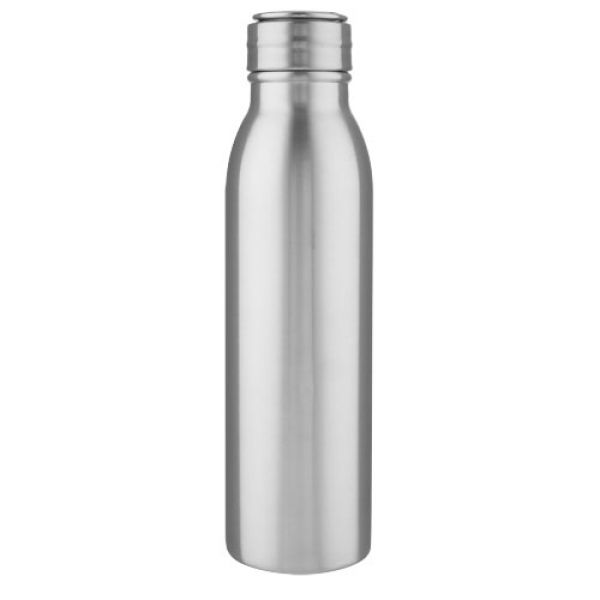 Bidon ze stali nierdzewnej Harper o pojemności 700 ml z metalową pętelką