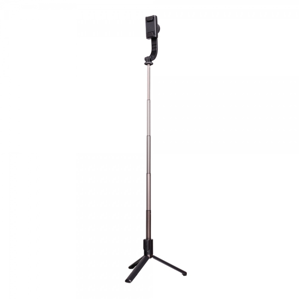 Gimbal